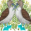 Two Blue Footed Boobie Birds Paint By Numbers