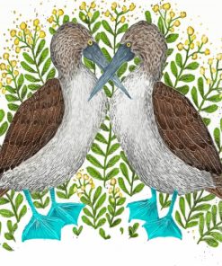 Two Blue Footed Boobie Birds Paint By Numbers