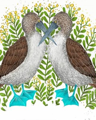 Two Blue Footed Boobie Birds Paint By Numbers