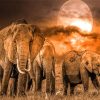 Wild Elephants Moon Paint By Numbers