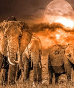 Wild Elephants Moon Paint By Numbers