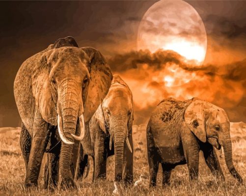 Wild Elephants Moon Paint By Numbers