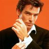 Young Pierce Brosnan Actor Paint By Numbers