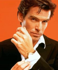 Young Pierce Brosnan Actor Paint By Numbers