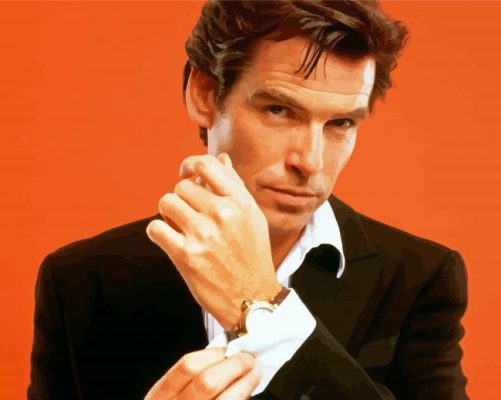 Young Pierce Brosnan Actor Paint By Numbers