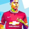 Aesthetic Marcus Rashford Paint By Numbers