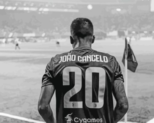 Black And White Joao Cancelo Back Paint By Numbers