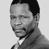 Black And White Oliver Tambo Paint By Numbers