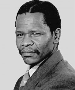 Black And White Oliver Tambo Paint By Numbers