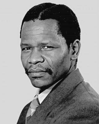 Black And White Oliver Tambo Paint By Numbers