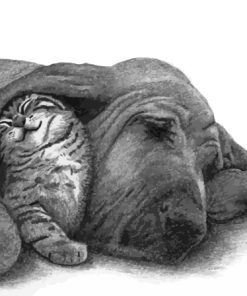 Black And White Sleeping Dog And Cat Art Paint By Numbers