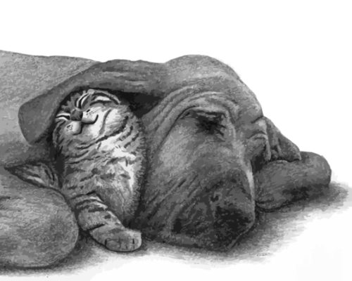 Black And White Sleeping Dog And Cat Art Paint By Numbers