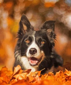 Black Border Collie In Leaves Paint By Numbers