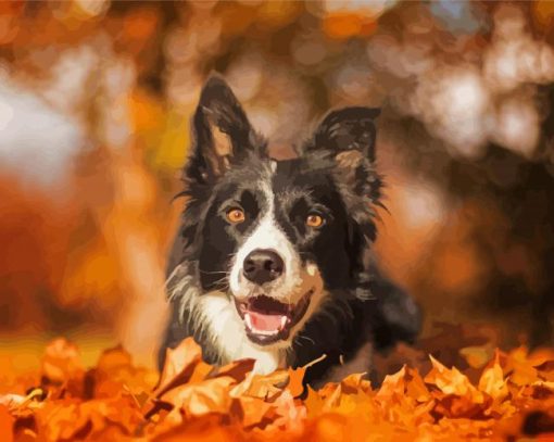 Black Border Collie In Leaves Paint By Numbers