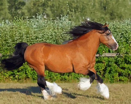 Brown Gypsy Vanner Horse Paint By Numbers