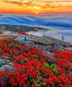 Cadillac Mountain Acadia National Park Paint By Numbers