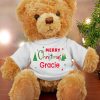 Christmas Teddy Paint By Numbers