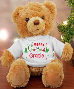 Christmas Teddy Paint By Numbers