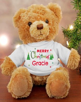 Christmas Teddy Paint By Numbers