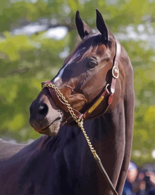 Close Up Zenyatta Racehorse Paint By Numbers