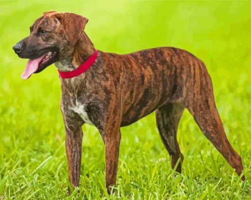 Cool Mountain Cur Dog Paint By Numbers