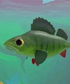 Cool Perch Fish Paint By Numbers