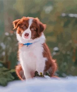 Cute Brown Border Collie Puppy Paint By Numbers