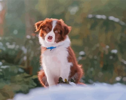 Cute Brown Border Collie Puppy Paint By Numbers