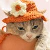 Cute Kitten With Summer Hat Paint By Numbers