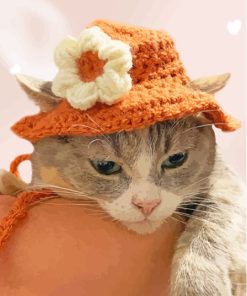 Cute Kitten With Summer Hat Paint By Numbers