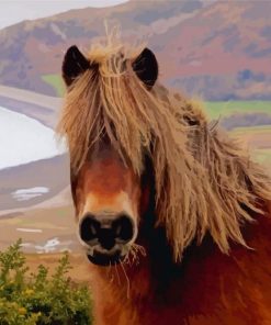 Exmoor Pony Paint By Numbers