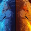 Fire Ice Wolves Anime Paint By Numbers