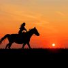 Horse And Girl Silhouette Paint By Numbers