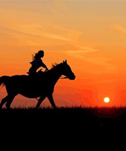 Horse And Girl Silhouette Paint By Numbers