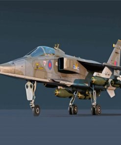 Jaguar Gr Aircraft Paint By Numbers