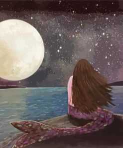 Mermaid Under The Moonlight Art Paint By Numbers