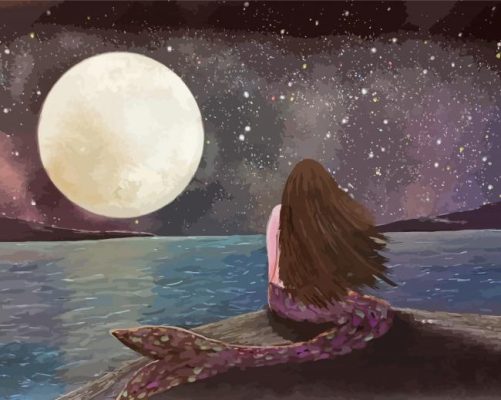 Mermaid Under The Moonlight Art Paint By Numbers