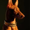 Pharaoh Hound Dog Side Profile Paint By Numbers