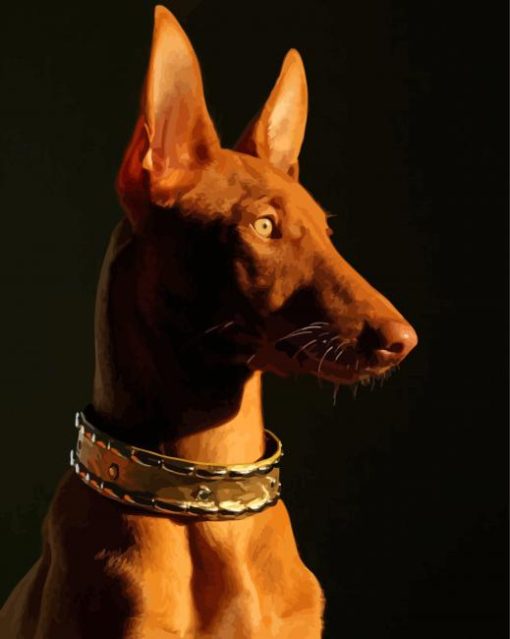 Pharaoh Hound Dog Side Profile Paint By Numbers