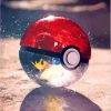 Pokémon Ball Art Paint By Numbers