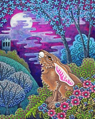 Rabbit Looking At The Moon Paint By Numbers