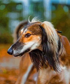 Saluki Animal Paint By Numbers