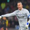 The Slovenian Goalkeeper Samir Handanovic Paint By Numbers