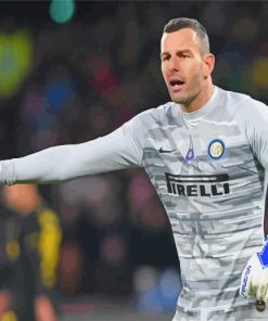 The Slovenian Goalkeeper Samir Handanovic Paint By Numbers