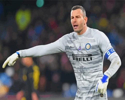 The Slovenian Goalkeeper Samir Handanovic Paint By Numbers