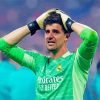 Thibaut Courtois Paint By Numbers