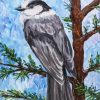 Whiskey Jack Bird Art Paint By Numbers