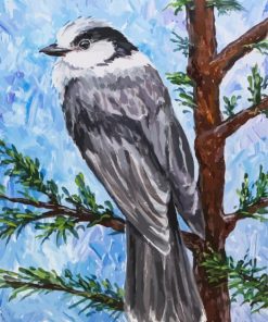 Whiskey Jack Bird Art Paint By Numbers