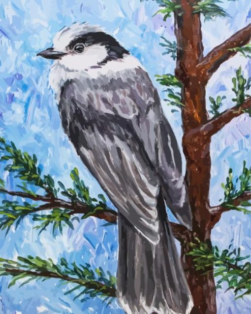 Whiskey Jack Bird Art Paint By Numbers