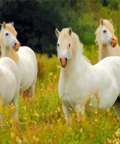 White Group Of Horses Paint By Numbers